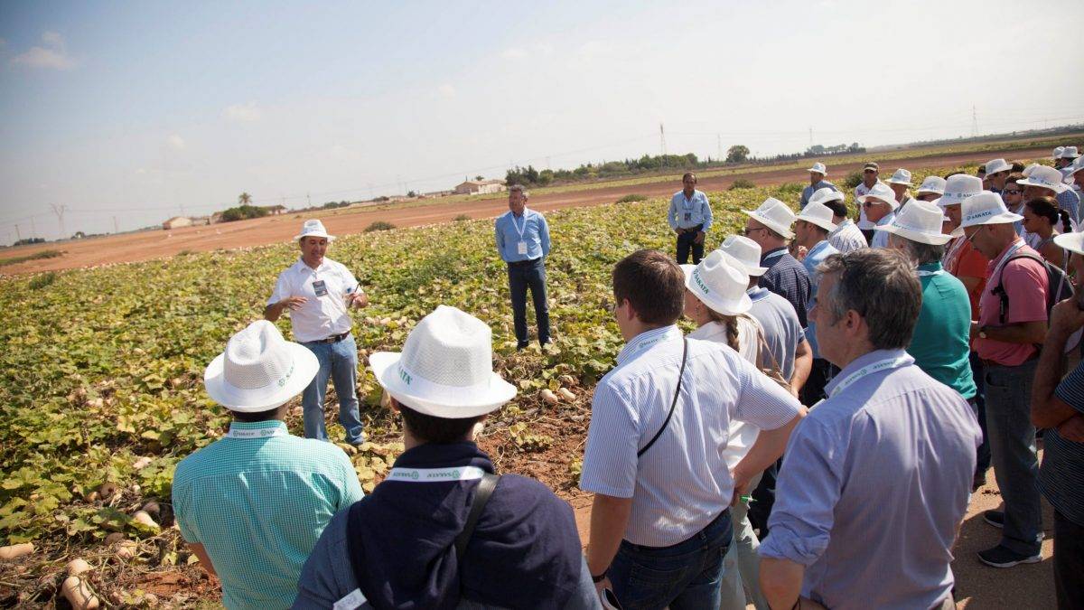 ||Sakata-calabaza-watternut